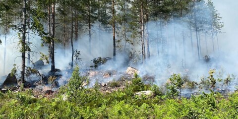 Tre skogsbränder bekämpades – samtidigt