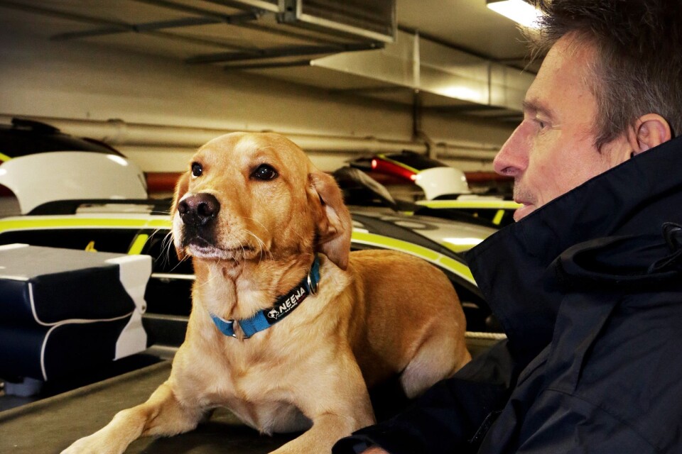 Ace, årets polishund, och förare Lars-Göran Eriksson.