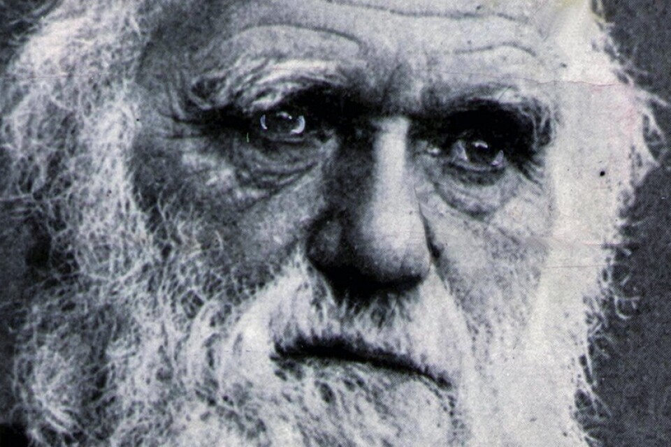 Charles Darwin (1809-1882) publicerade ”Om arternas uppkomst” 1859.