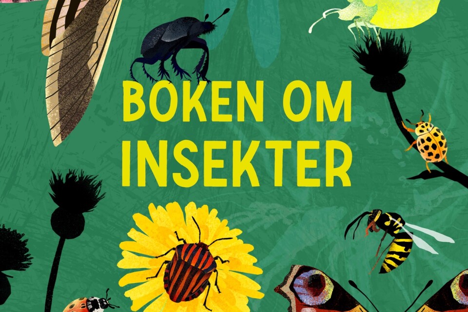 ”Boken om insekter” av Alexandra Dahlqvist