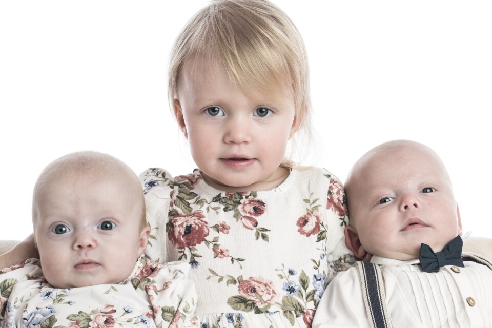 I nästa vecka fyller storasyster Vilma Lejonberg-Wulff två år. Småsyskonen Agnes och Ludvig är knappt fyra månader och lär inte intressera sig för Vilmas födelsedagspresenter.