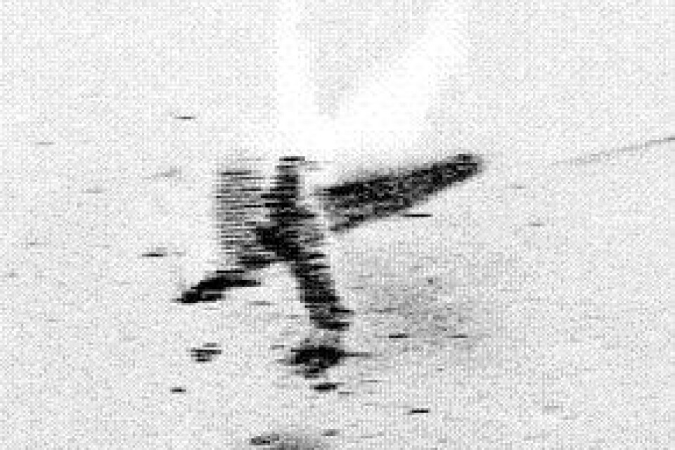 Den nerskjutna DC 3:an funnen. Onsdagen den 18 juni 2003 presenterades bevis f&#x88;r att man funnit den nerskjutna DC3 som sk&#x88;ts ner av sovjetiskt jaktflyg den 13 juni 1952 under ett spaningsuppdrag någonstans &#x88;ver ÷stersj&#x88;n. Bilden tagen med sonar från spaningsfartyget Triad. Kod 200 COPYRIGHT PRESSENS BILD