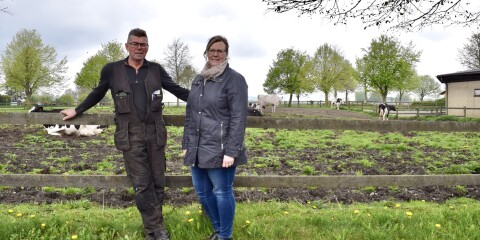 Kan Nils Holgersson-gymnasiets kossor producera mjölk till kommunen? Stallchef Göran Thorsson och måltidschef Anna-Lena Svensson tror att det är en full genomförbar idé.