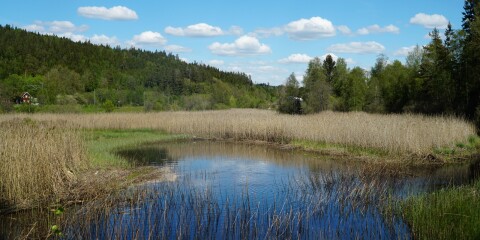 Bollebygds kommun ska kartlägga och återställa våtmarker. De första 400 fältstudiepunkterna ligger runt Sörån.