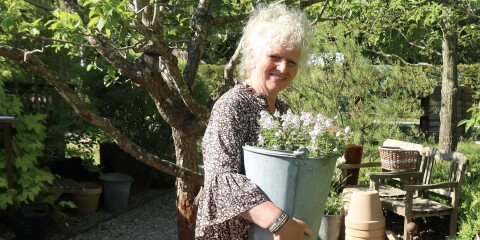 Närodlat: Gerda har drivit fram tusen blommor hemma i villan – och grannens växthus