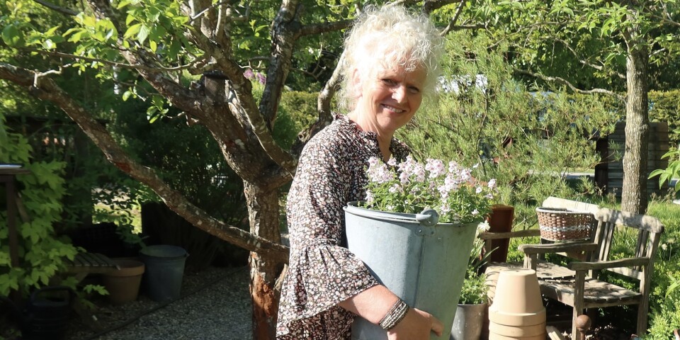 Närodlat: Gerda har drivit fram tusen blommor hemma i villan – och grannens växthus