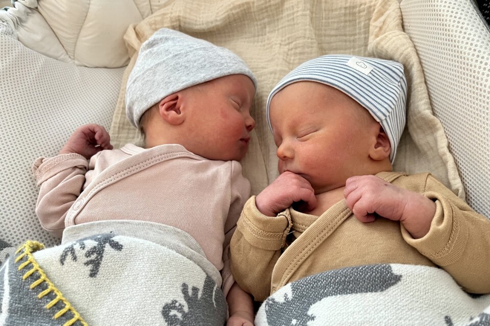 Tvillingarna Agnes och Ludvig Lejonberg-Wulff föddes den 6 januari, på trettondagen. ”De kommer alltid att fylla år på en röd dag”, konstaterar deras pappa.