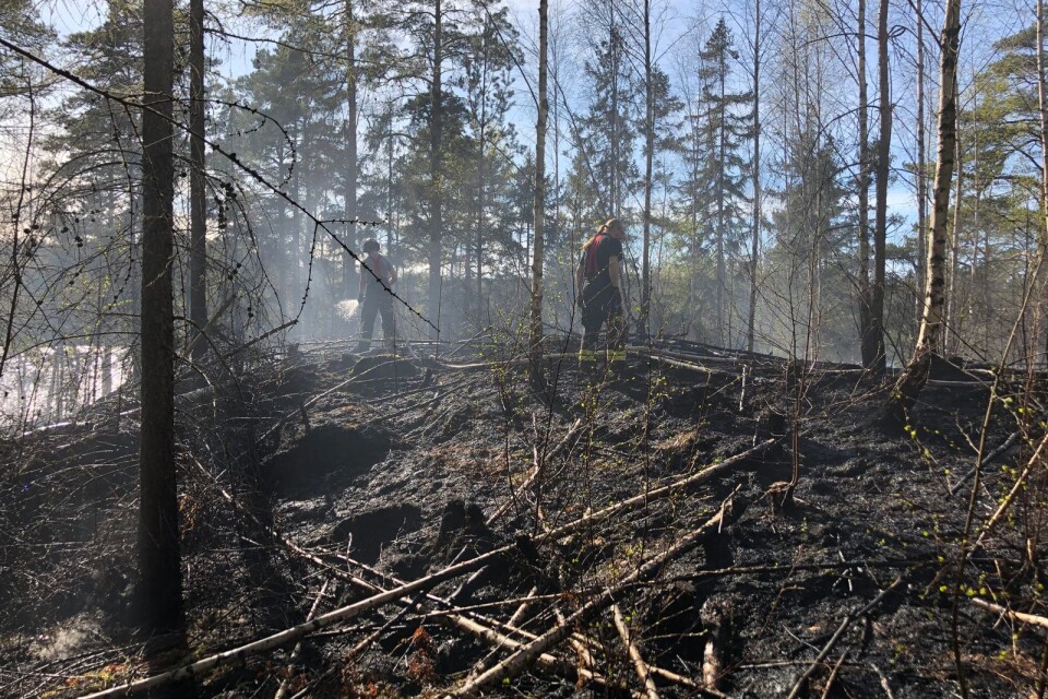 Skogsbrand vid Raslången nära Immeln. Skribenten vill ha permanent eldningsförbud under hela sommarhalvåret.