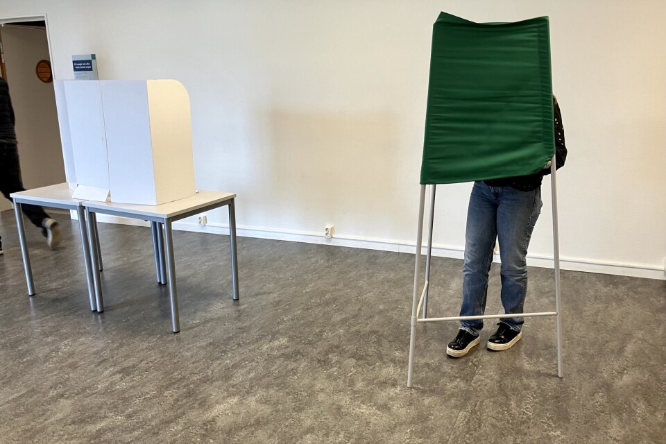 Maya Alali och många andra elever på Tingsholmsgymnasiet i Ulricehamn röstade i måndagens EU-skolval.