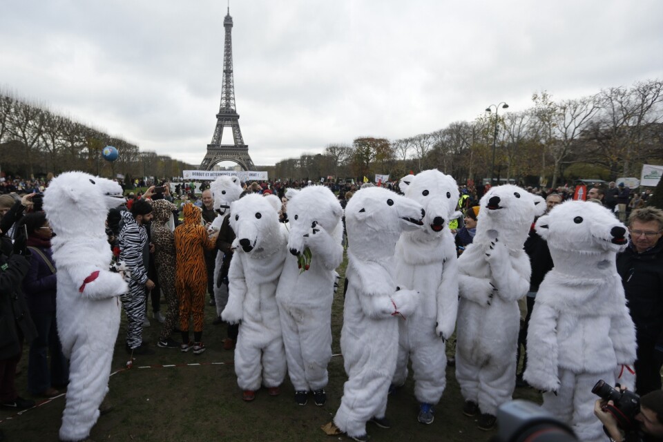 Aktivister i isbjörnsdräkter demonstrerade i närheten av Eiffeltornet när världens länder enades om Parisavtalet den 12 december 2015. Arkivbild.