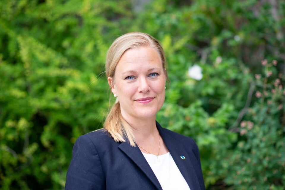 Annelie Börjesson, ordförande i Svenska FN-förbundet skriver om året som gått.