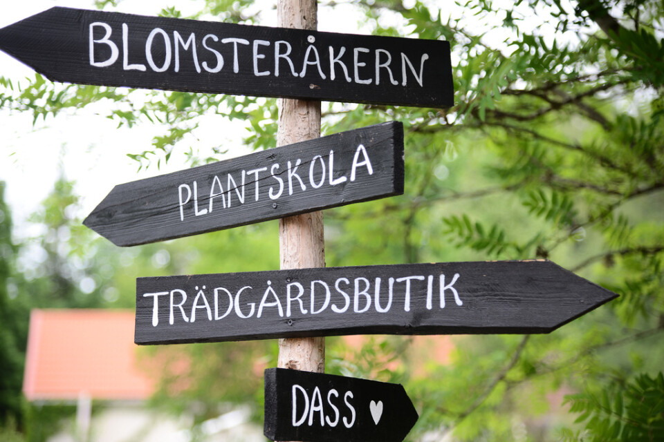 Fiddekulla trädgård – en odling mittemellan Karlskrona, Kalmar och Växjö.