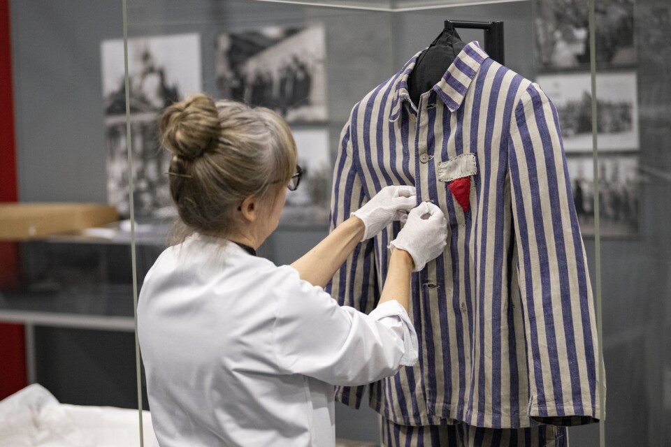 Ana Galán, samlings-/föremålsansvarig, vid monteringen av Auschwitz-utställningen på Malmömässan i maj 2022. På den unika utställningen visades över 700 autentiska föremål från Förintelsen.