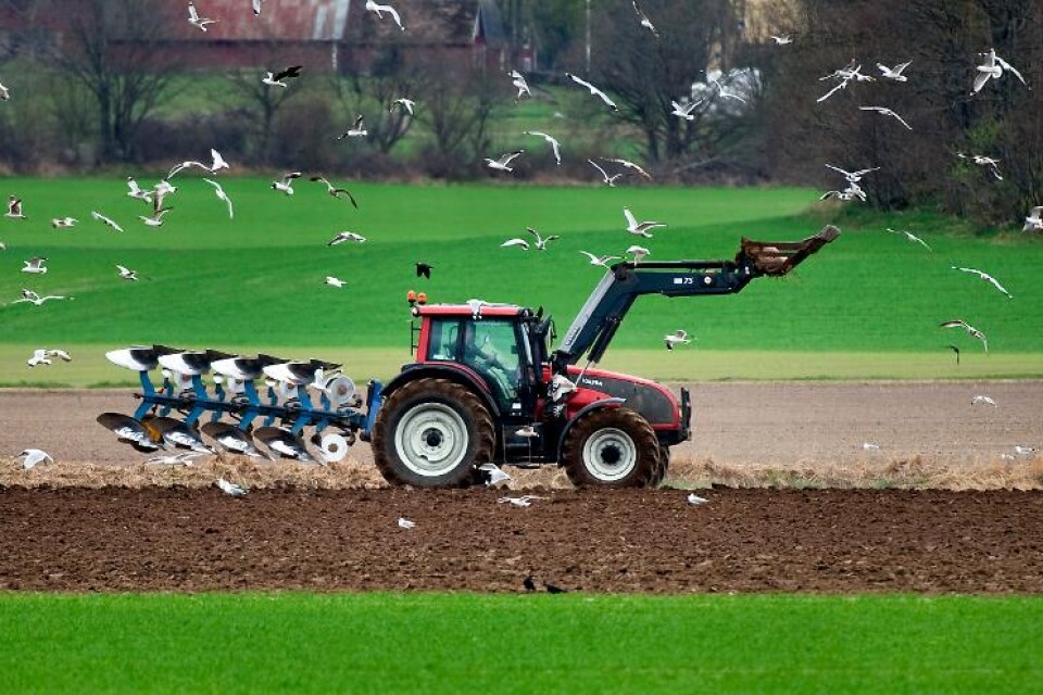 Ett förbud mot glyfosat innebär mer markbearbetning och större utsläpp.