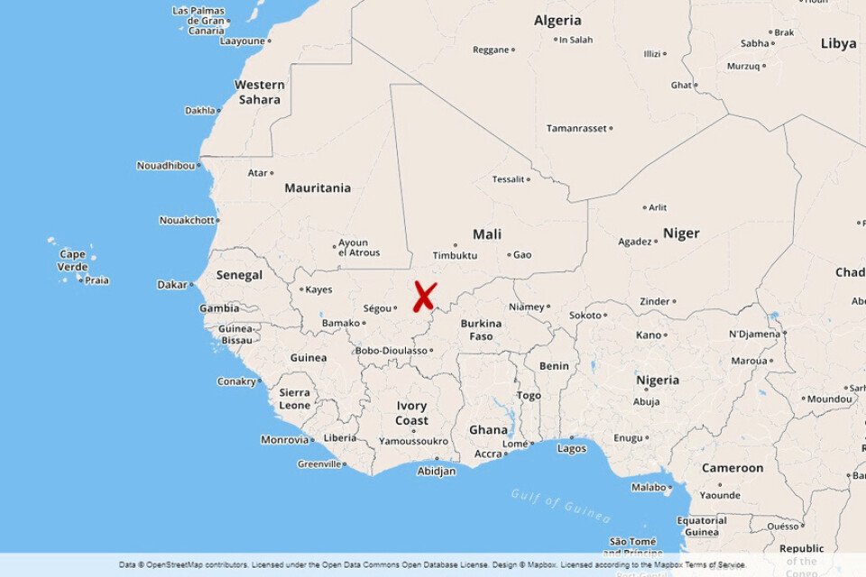 Franska styrkor uppges ha har dödat 33 upprorsmän i Mali nära gränsen mot Mauretanien.