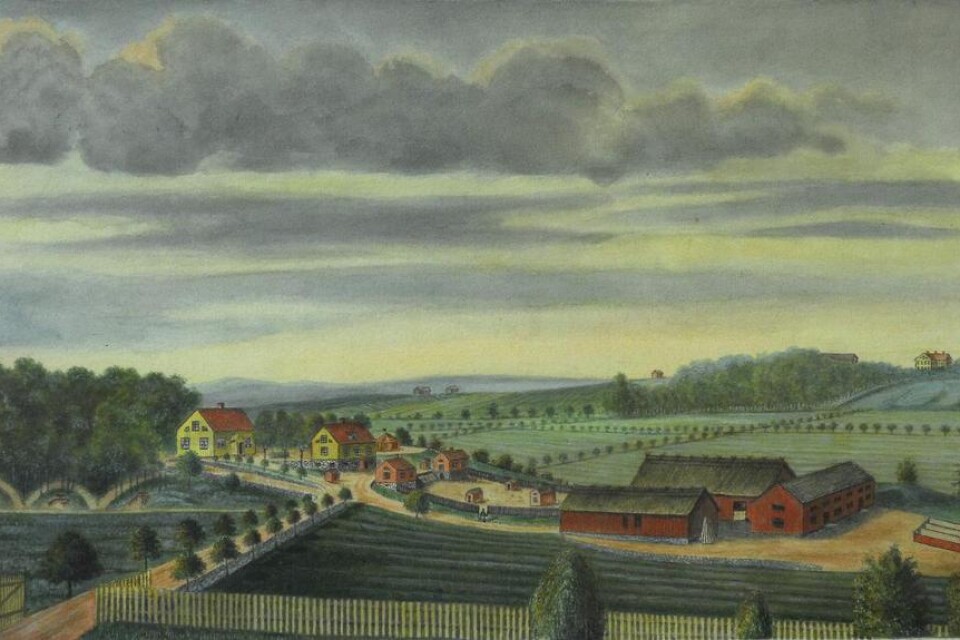 En målning av landeriet Ringsberg från 1840-talet.