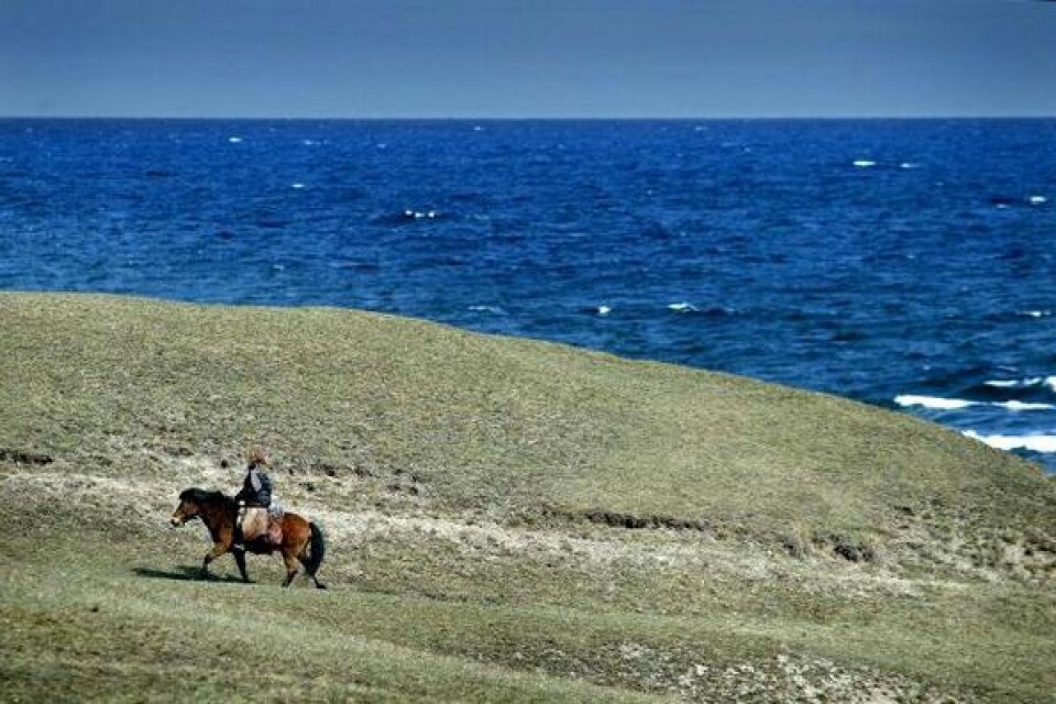 I öppna landskap. Lena Endre till häst där land möter hav.