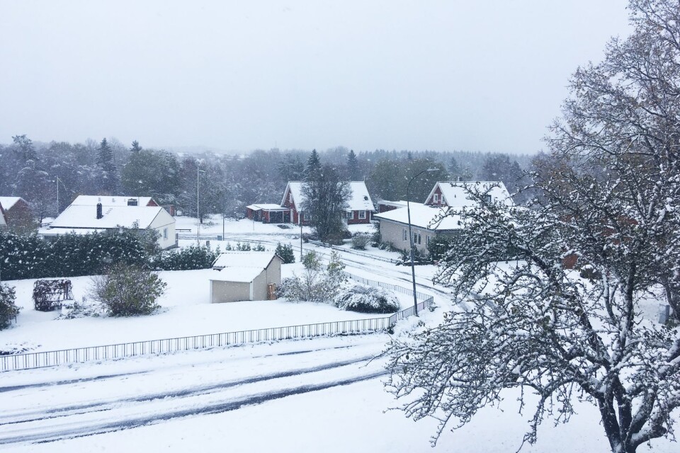 I Lenhovda i Uppvidinge kommun har snön fallit sedan fredagskvällen.