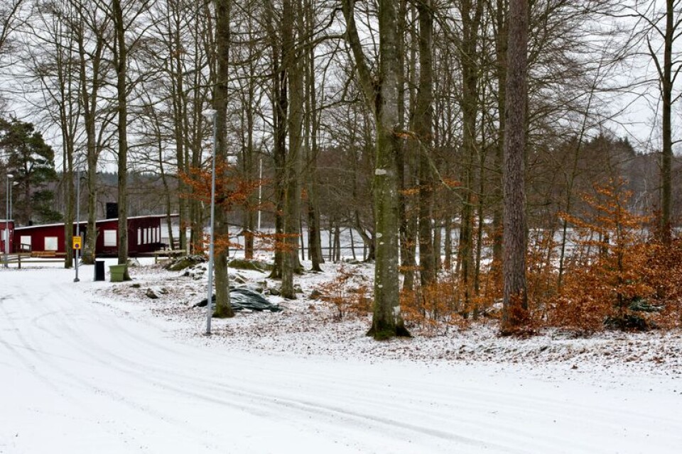 Vid Bastasjöstugan planeras för aktiviteter med eller utan snö på marken under vinterlovet.