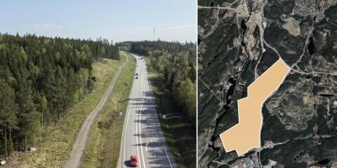 Stora skogspartiet i Borås ska jämnas med marken – för växande företag