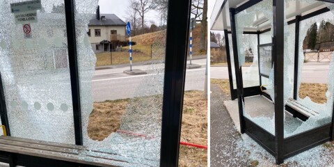 Samtliga rutor hade slagits sönder vid en av busshållplatserna.