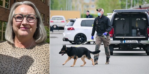 19-åring misstänks för attack i Kristianstad: ”Greps med skjutvapen”