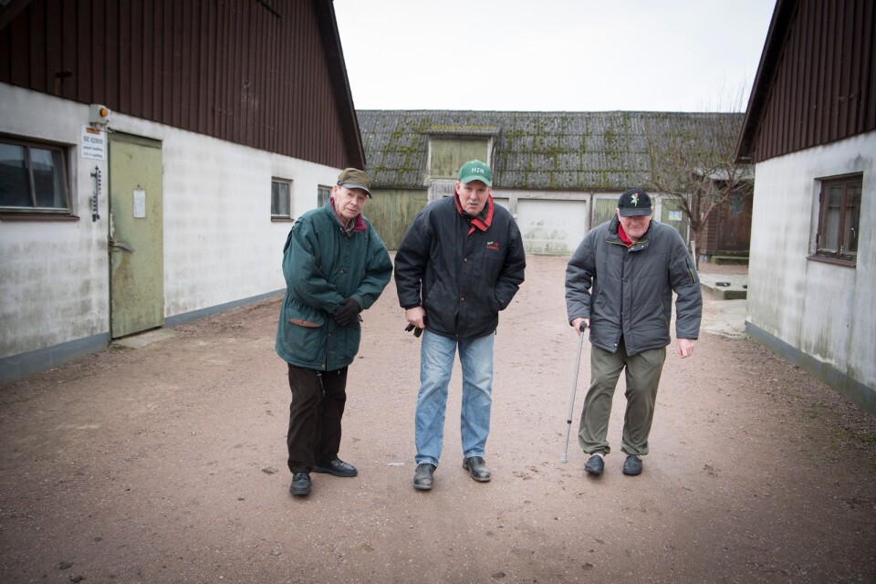 Filmen om arrendatorerna Per-Axel Ohlsson (t h) och hans brorson Nils-Åke (i mitten) ska visas i riksdagen. Ynde lantbrukaren Rune Persson (t v) har kämpat för en friköpslag under en stor del av sitt liv.