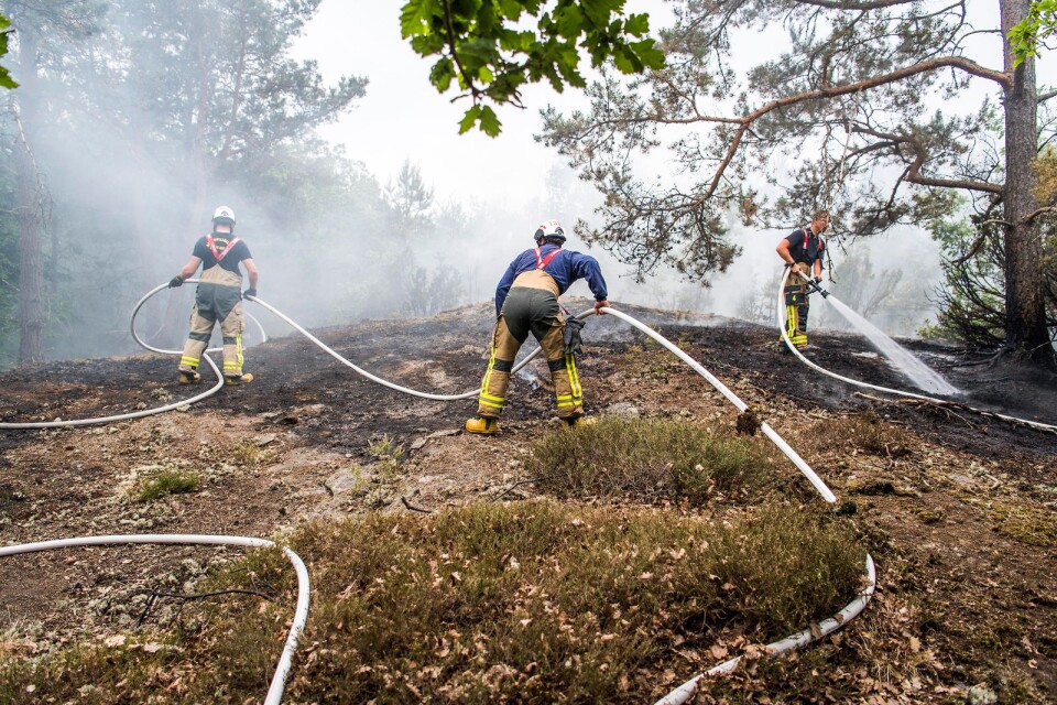 Flera större skogsbränder rasar i de norra delarna av länet under lördagen. Arkivbild.