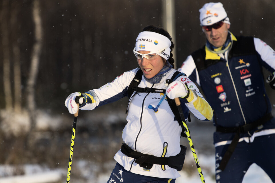 Charlotte Kalla och damtränaren Magnus Ingesson får en klubbkompis som ny längdchef. Daniel Fåhraeus, styrelsemedlem i Piteå Elit, får jobbet.