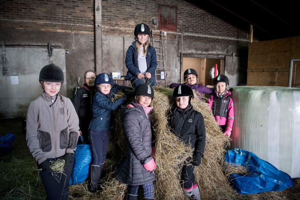 Leia Antonsson, Molly Olsson, Ebba Nilsson, Wilma Rahm, Isabell Paulrud, Matilda Eldh, Alicia Poka och Edit Hermansson fixade hö till hästarna.