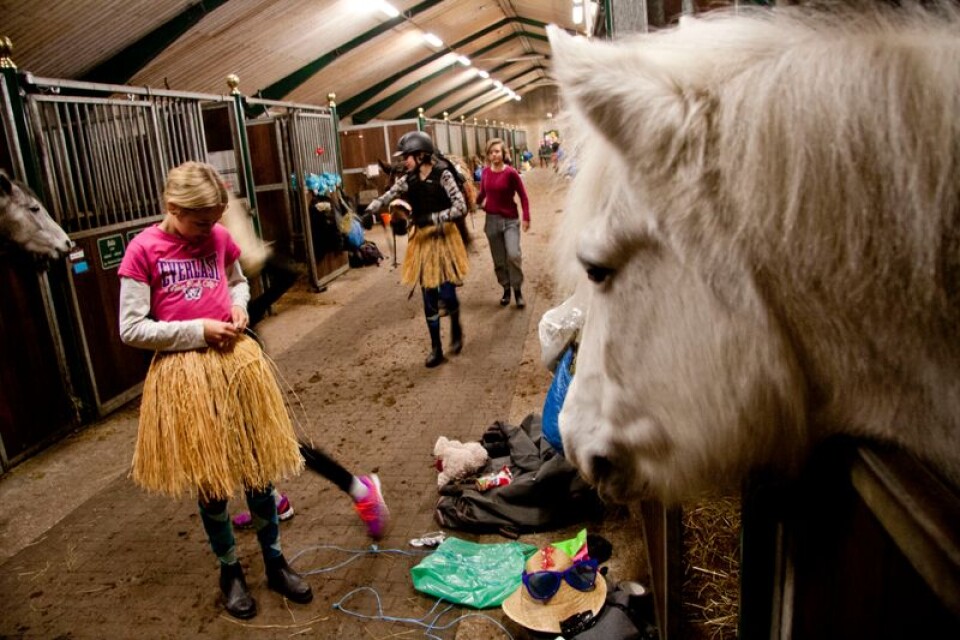 Bråda tider i stallet och nyfikna blickar bland hästarna.