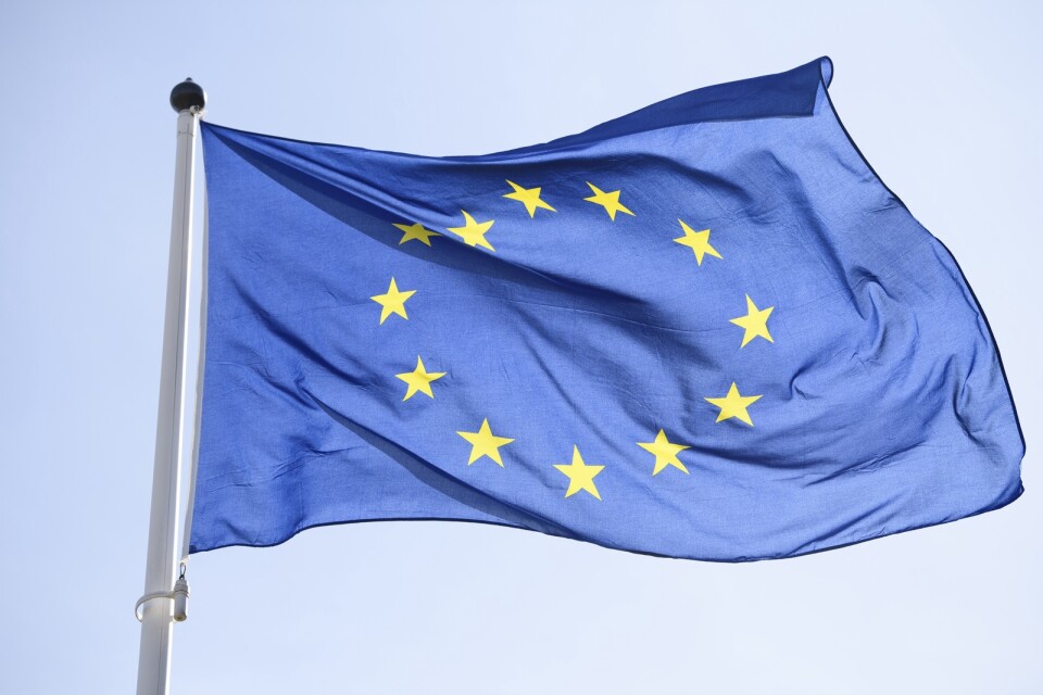 Europadagen infaller den 9 maj. ”Vi är alternativet som löser problemen och inte lämnar dem olösta till våra barn och barnbarn”, skriver MP-kandidaterna till EU-parlamentet.