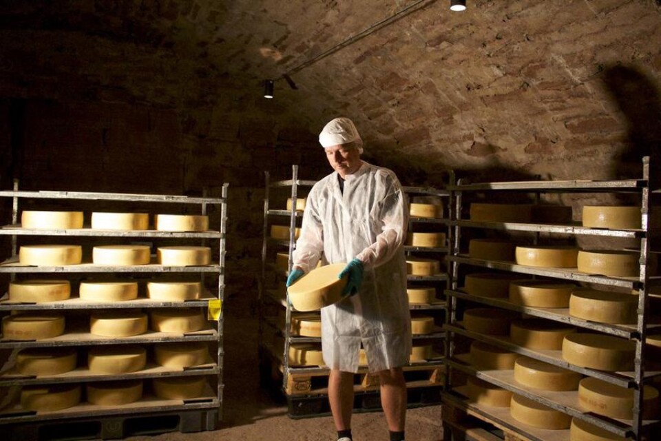 Lagerchefen Thom Furbring kontrollerar osten i slottskällaren en gång i veckan. Foto: Kajsa Skarsgård