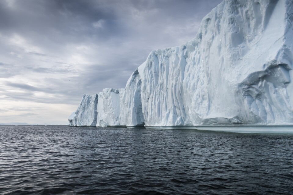 Sermeq Kujalleq-glaciären kalvar ut isberg i havet från Grönland. Ett annat jätteisberg är just nu på drift från Antarktis, påpekar skribenten varnande.