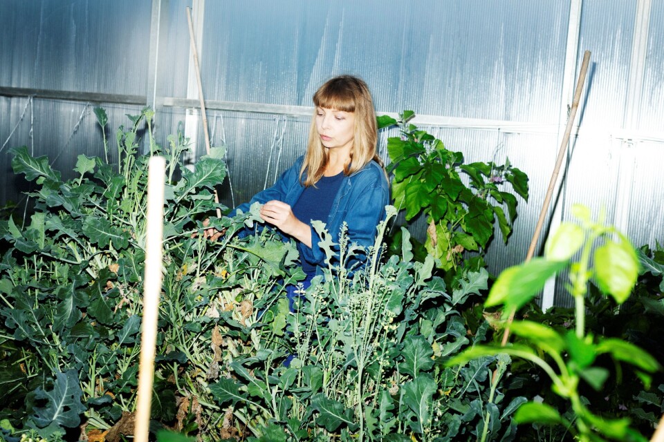 Maja Alskog Bredberg har i samband med att hennes bok ”Till växten” släpps också gjort poddokumentären ”I tomaternas skugga” tillsammans med Spotify Dok.