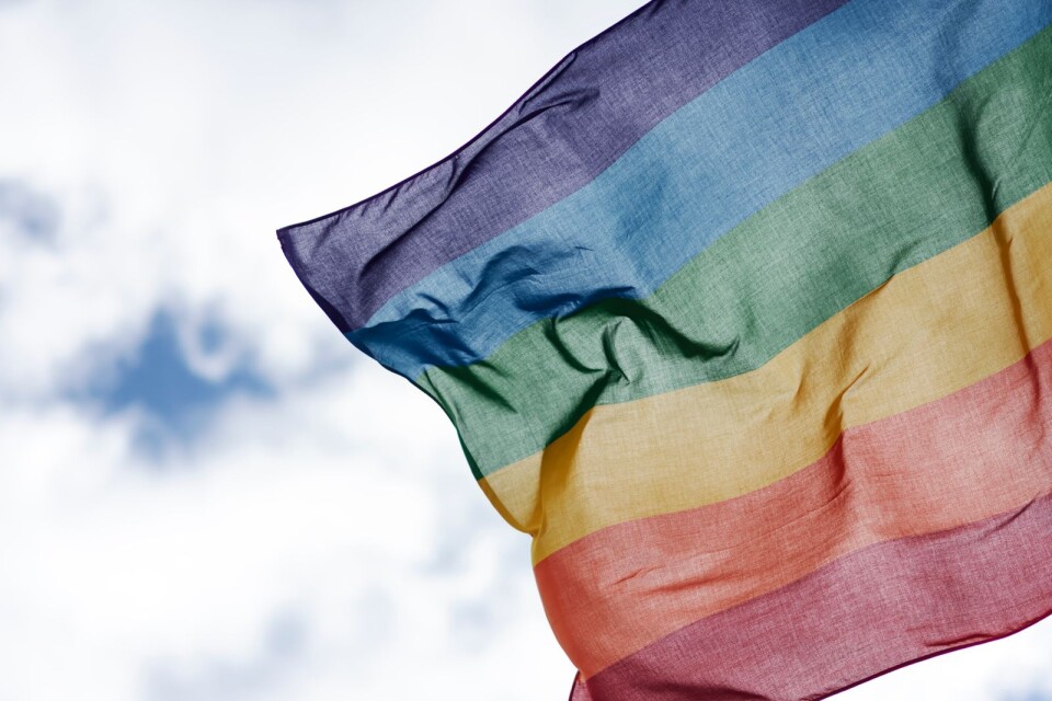 Vad med Prideflaggan vill Samstyret hålla sig neutrala till?