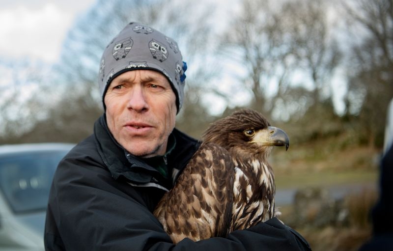 Mats Olsson berättar att det rör sig om en 2K-fågel, en örn som är inne på sitt andra levnadsår.