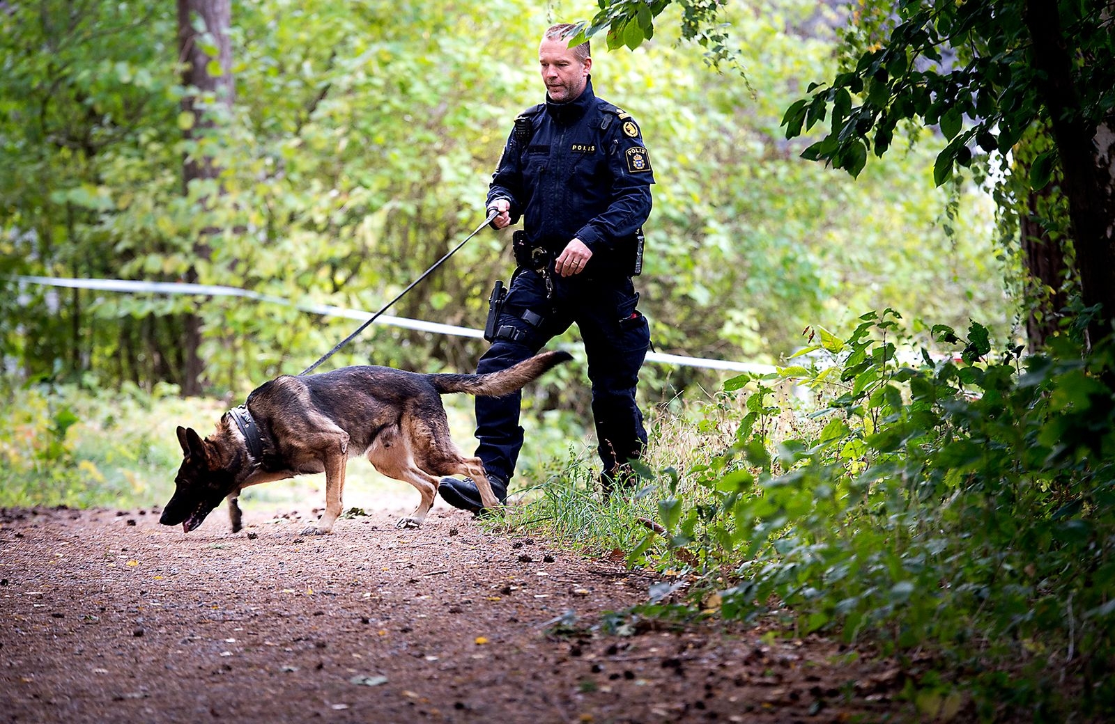 28-årig kvinna hittad död i Bromölla, troligen mord. Hundaptrull säkte i området vid vattentornaet och Hagagaan