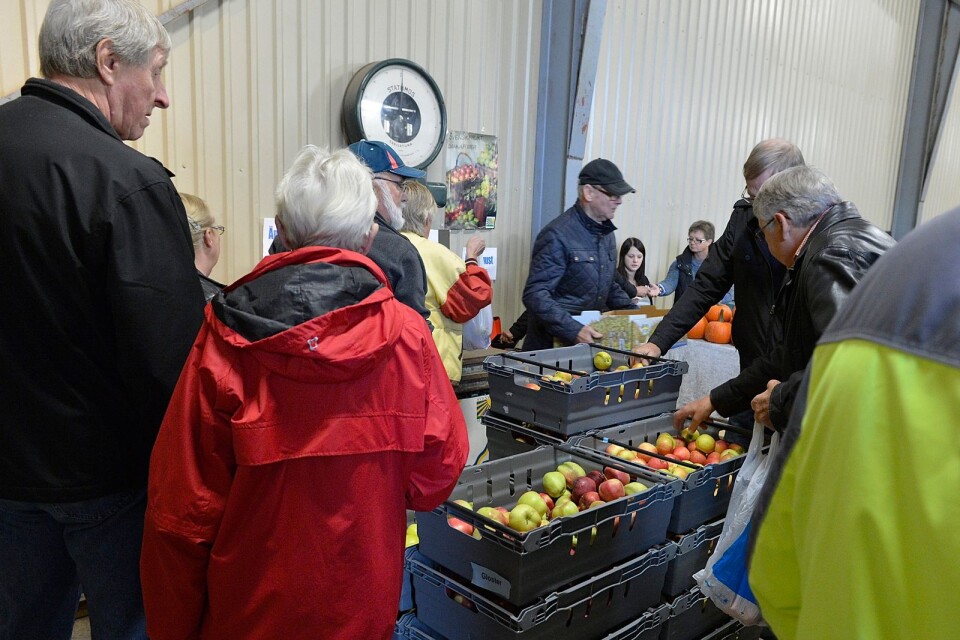 Den traditionella höst- och äppelmarknaden i Kulla ställs in för andra året i rad.