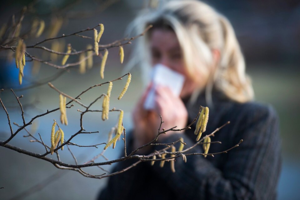 Det går att förebygga allergier genom att arbeta med både risk- och friskfaktorer. Och det går förbättra vården och vardagen för redan drabbade, påpekar Maritha Sedvallson och Kristina Ljungros.
