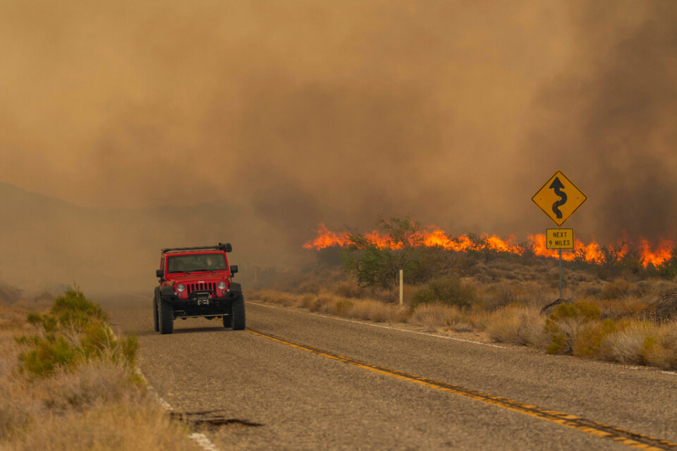 Bränder i Kalifornien i USA i slutet av juli i år förstörde stora områden.