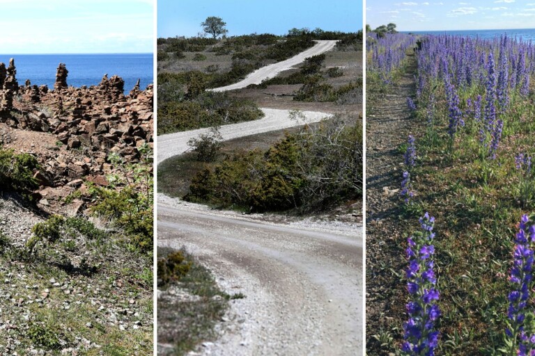 Stenkusten på Öland: ”Det här är världens vackraste promenad, det är som på Kreta.”
