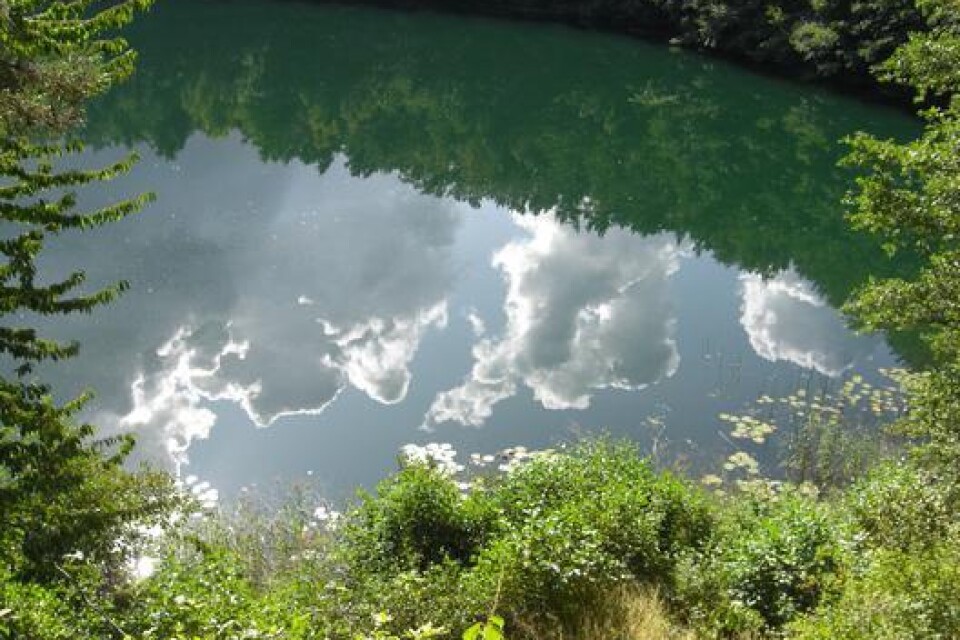 ”Vattenspegel” från Rubinsjön på Bornholm!