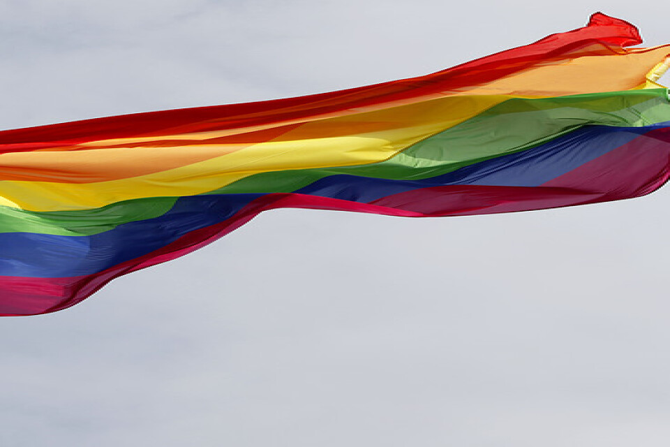 Sverigedemokraten Teddy Nilsson, ordförande för kommunstyrelsen i Svalöv, vill förbjuda prideflaggan på den kommunala flaggstången. Arkivbild.