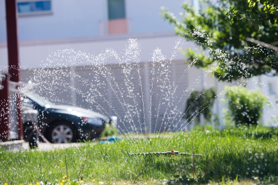 En vattenspridare vattnar en villaträdgård.