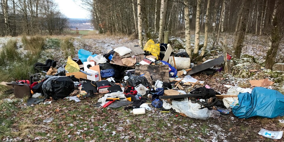 Någon gång mellan söndag lunch och tisdag morgon valde någon att dumpa sopor på en promenadväg mellan Anders Danielssons väg och Lottelias väg i Sparsör. Foto: privat