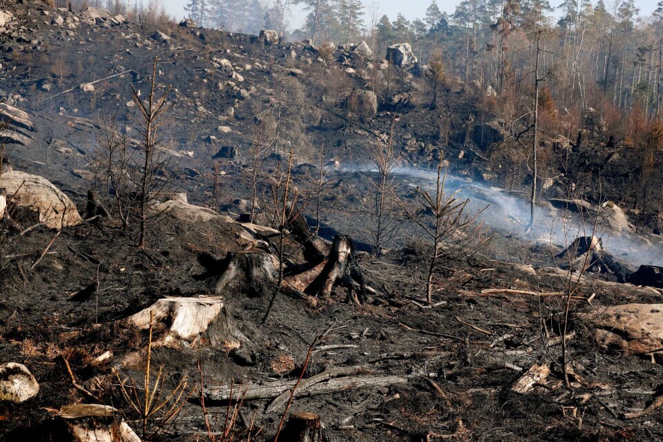 Eldningsförbudet upphör, men det gäller att hålla koll. I påskhelgen startade en stor skogbrand vid Råssa genom en luntning som gick fel.