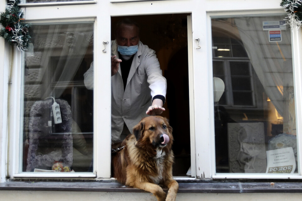 En munskyddsförsedd man klappar en hund som får lite frisk luft i Prag, Tjeckien.