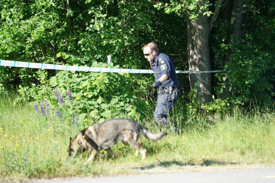 En specialsökhund letar spår på brottsplatsen omkring Hovshaga.