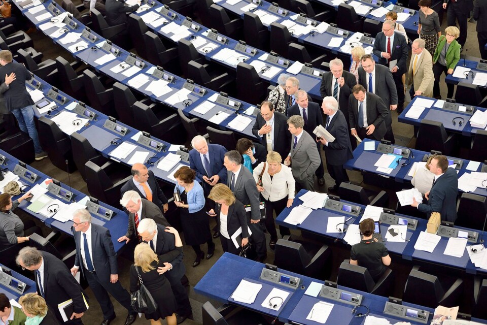 Förhandla och kompromissa. Så ser vardagen ut i EU-parlamentet.